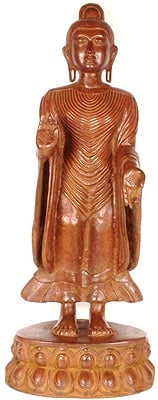 Buddha, The Universal Teacher