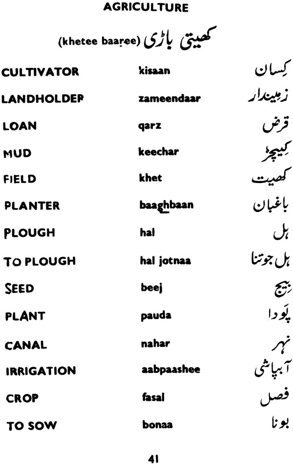 Important Urdu Essays For 10th Class Students
