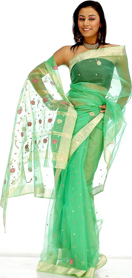 Image credit: http://www.exoticindiaart.com/saris/bright_green_chanderi_sari_with_multicolor_bootis_yo88.jpg