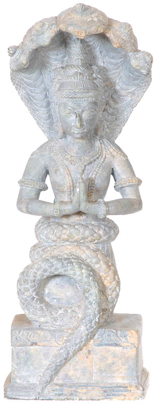 http://www.exoticindiaart.com/sculptures/patanjali_founder_of_yoga_system_rp75.jpg