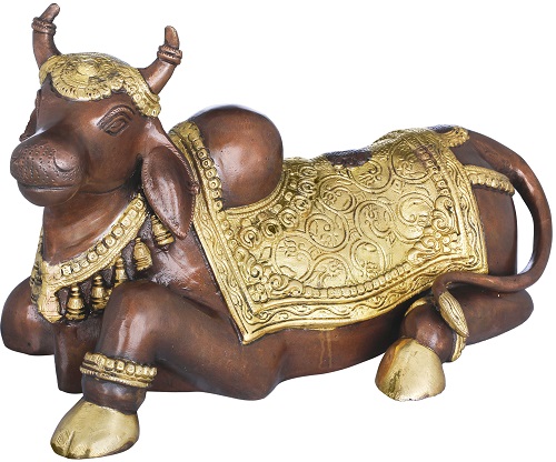 What Is The Significance Of Nandi?