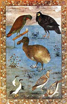 Birds: Loriquet (Coryllis vernalis), Horned Pheasant (Tragopan melanocephalus), Dodo (Raphus cucullatus), Ducks, and Partridges (Illustration to the Baburnama), circa 1620 - 1625 (Institute of Oriental Studies. St. Petersburg).