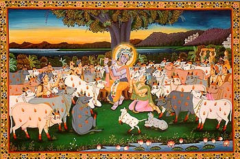 Krishna the Supreme Cowherd
