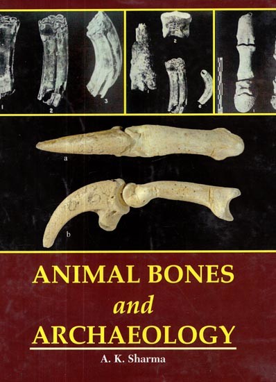Animal Bones and Archaeology | Exotic India Art