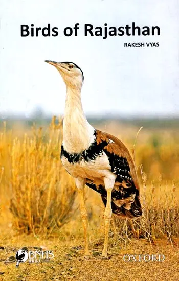 Birds of Rajasthan | Exotic India Art